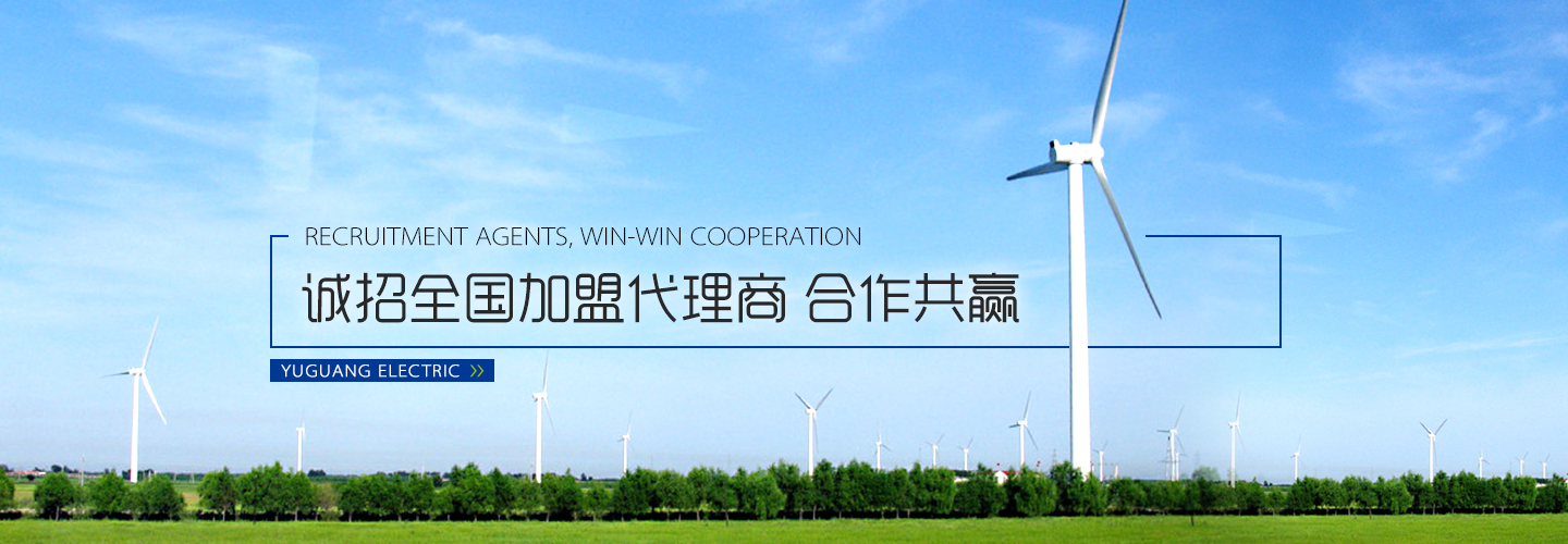 中國(guó)電力投資集團(tuán)公司